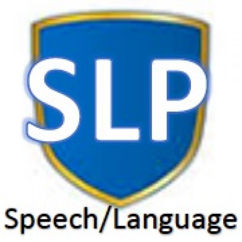 speech language pathologist